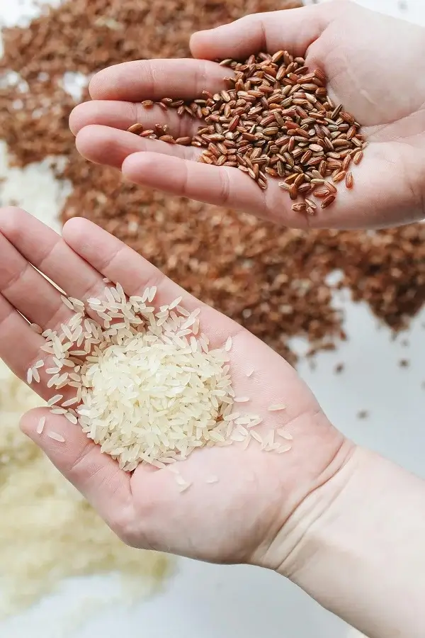 Rice and grains