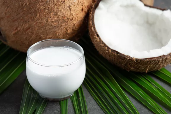 coconut sauce