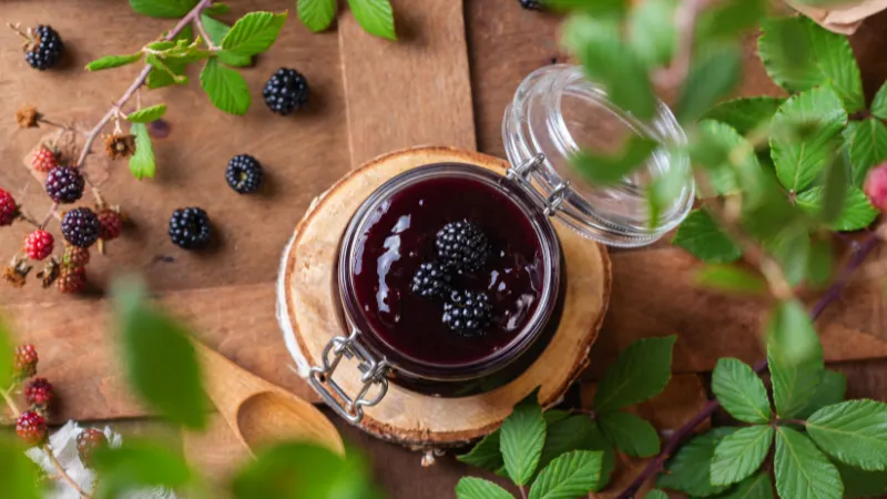 Blackberry Jelly Recipe: A Sweet Nostalgic Treat That You’ll Love