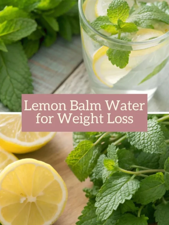 Lemon Balm Water Recipe for Weight Loss
