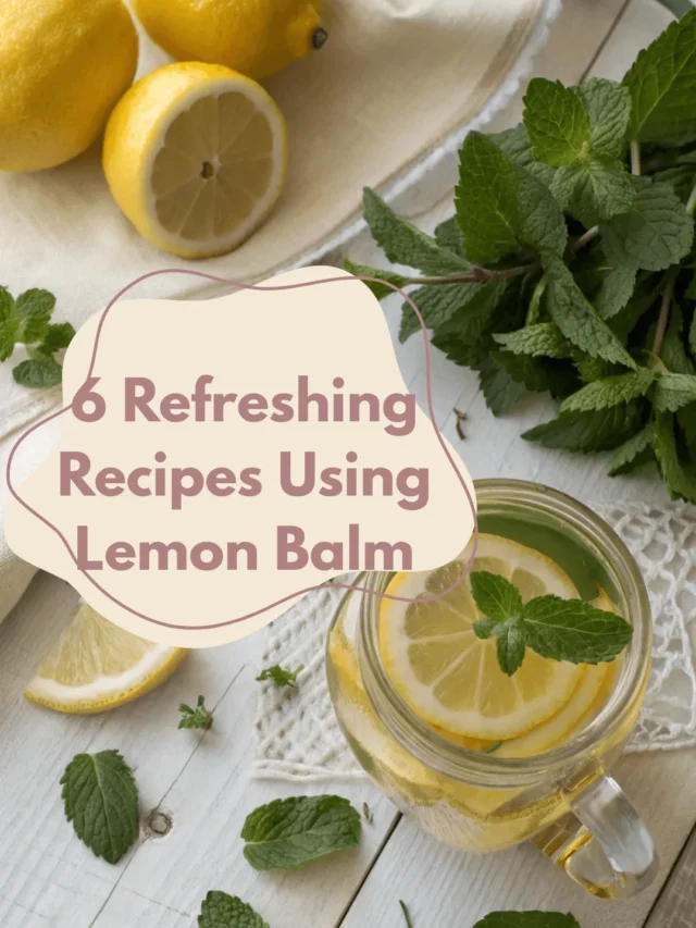 Refreshing Recipes Using Lemon Balm