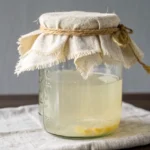 ginger bug recipe