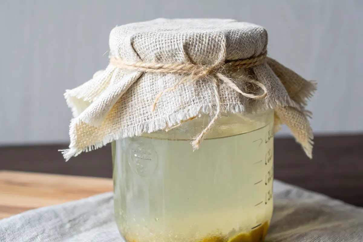 Ginger Bug Recipe
