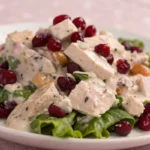 Cranberry Chicken Salad with creamy sauce